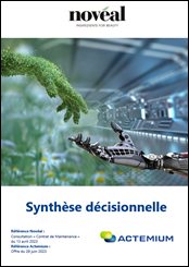 synthère décisionnelle